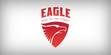 עיצוב לוגו - מתיחת פנים ללוגו Eagle Scooter  קורקינט איגל - eagle- 